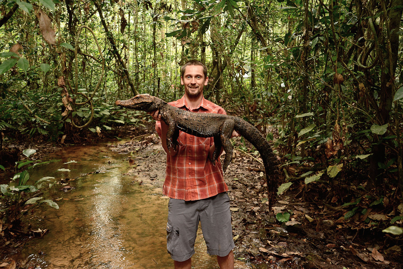 Václav Gvoždík s krokodýlem konžským – tedy novým druhem, kterého právě on objevil.