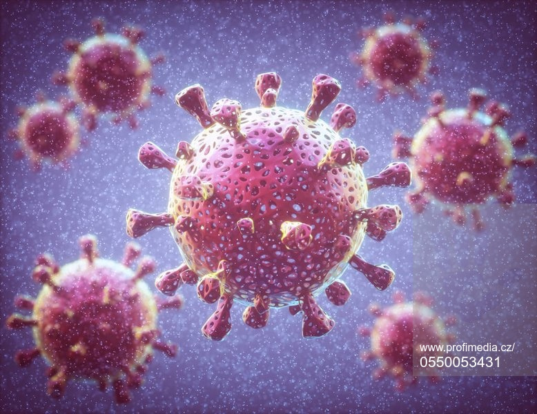 Virus SARS-CoV-2.